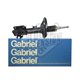 amortiguador Delantero Derecho gabriel